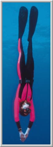 Deep Dive